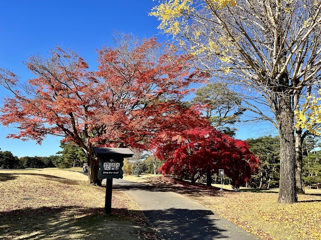 Higashimatsuyama Country Club - Photo 4