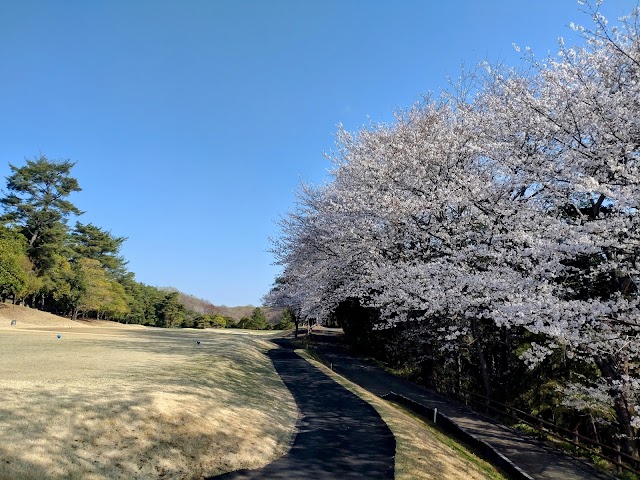 Higashimatsuyama Country Club - Photo 9