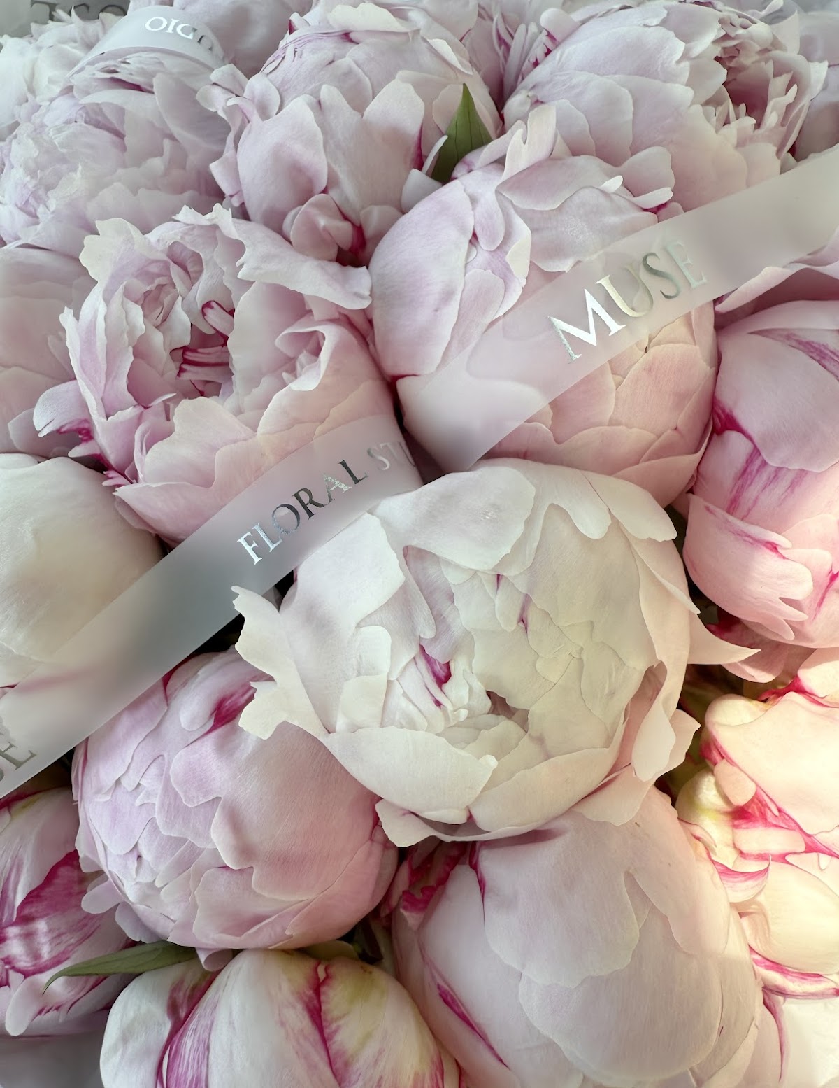 Muse Floral Studio: Google Places image 5