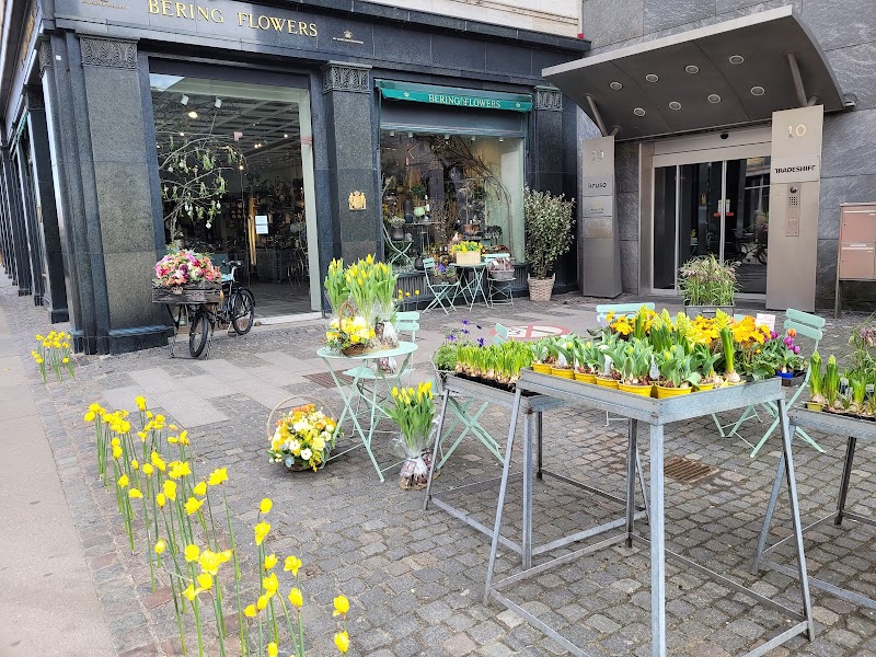 Bering House of Flowers