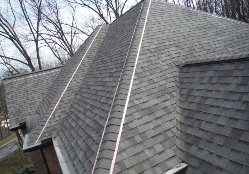 Big Dog Roofing photo 3