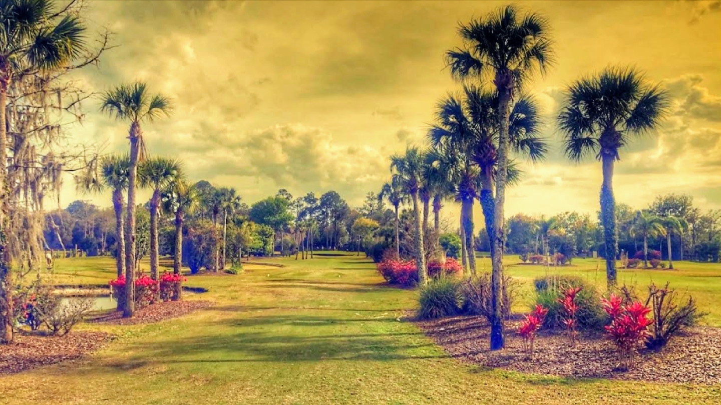 Palm Valley Golf Course