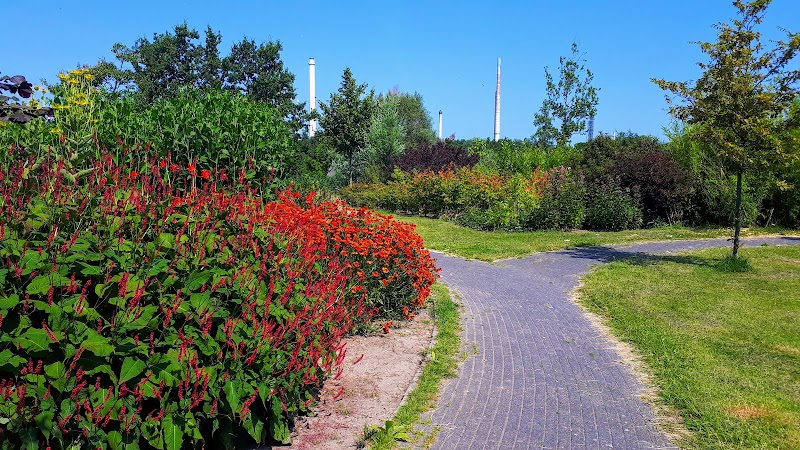 Arboretum Hoogvliet