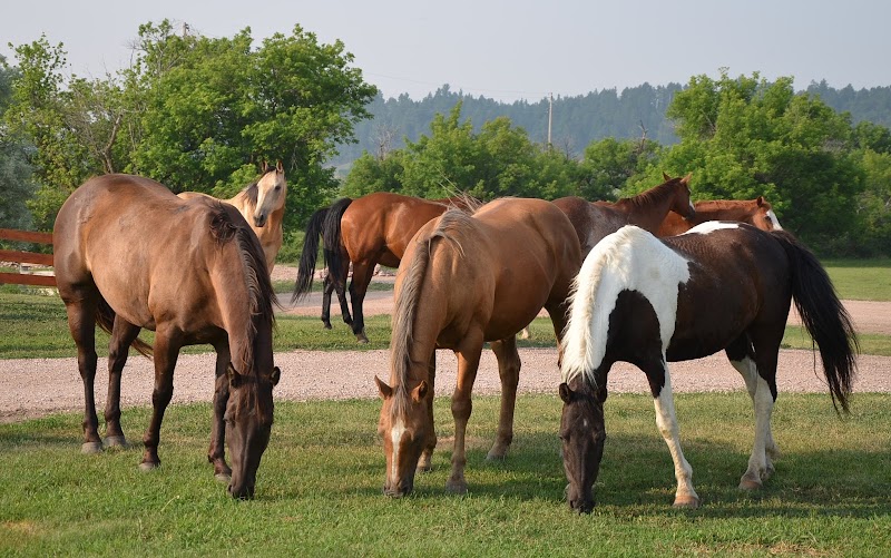 Kara Creek Ranch - Photo 1