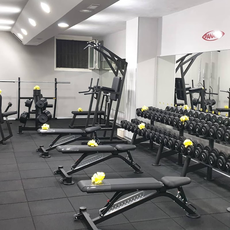 Gym Square asd