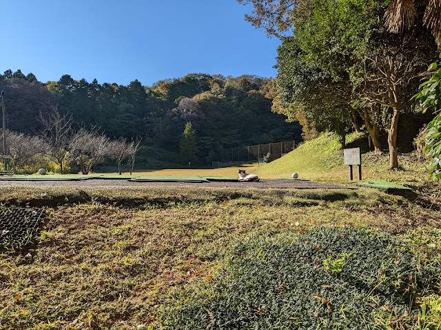 Tokyo Soubu Country Club Short Course - Photo 1