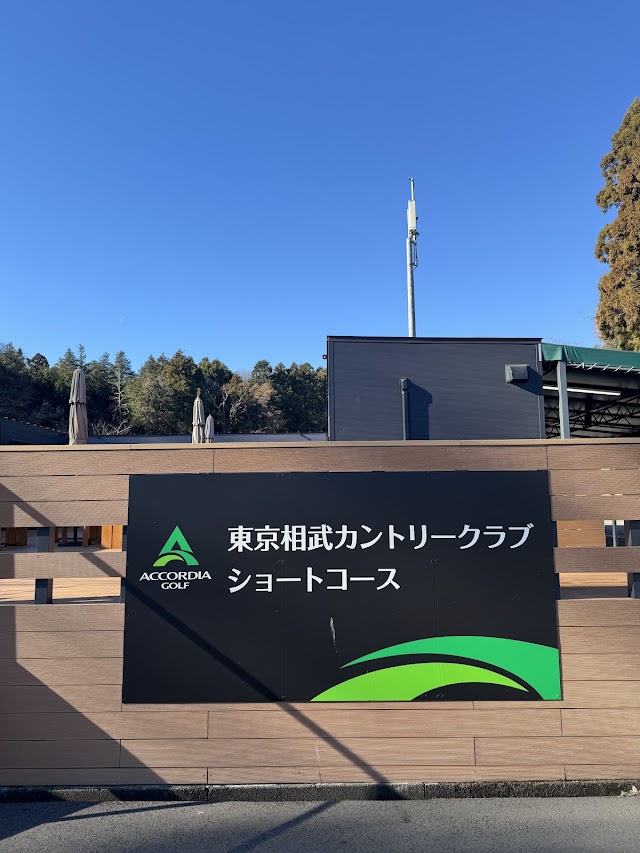 Tokyo Soubu Country Club Short Course - Photo 6