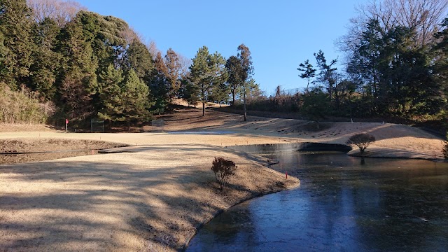 Tokyo Soubu Country Club Short Course - Photo 3