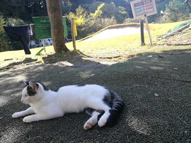Tokyo Soubu Country Club Short Course - Photo 7