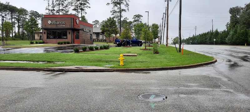 Ellianos Coffee photo 2