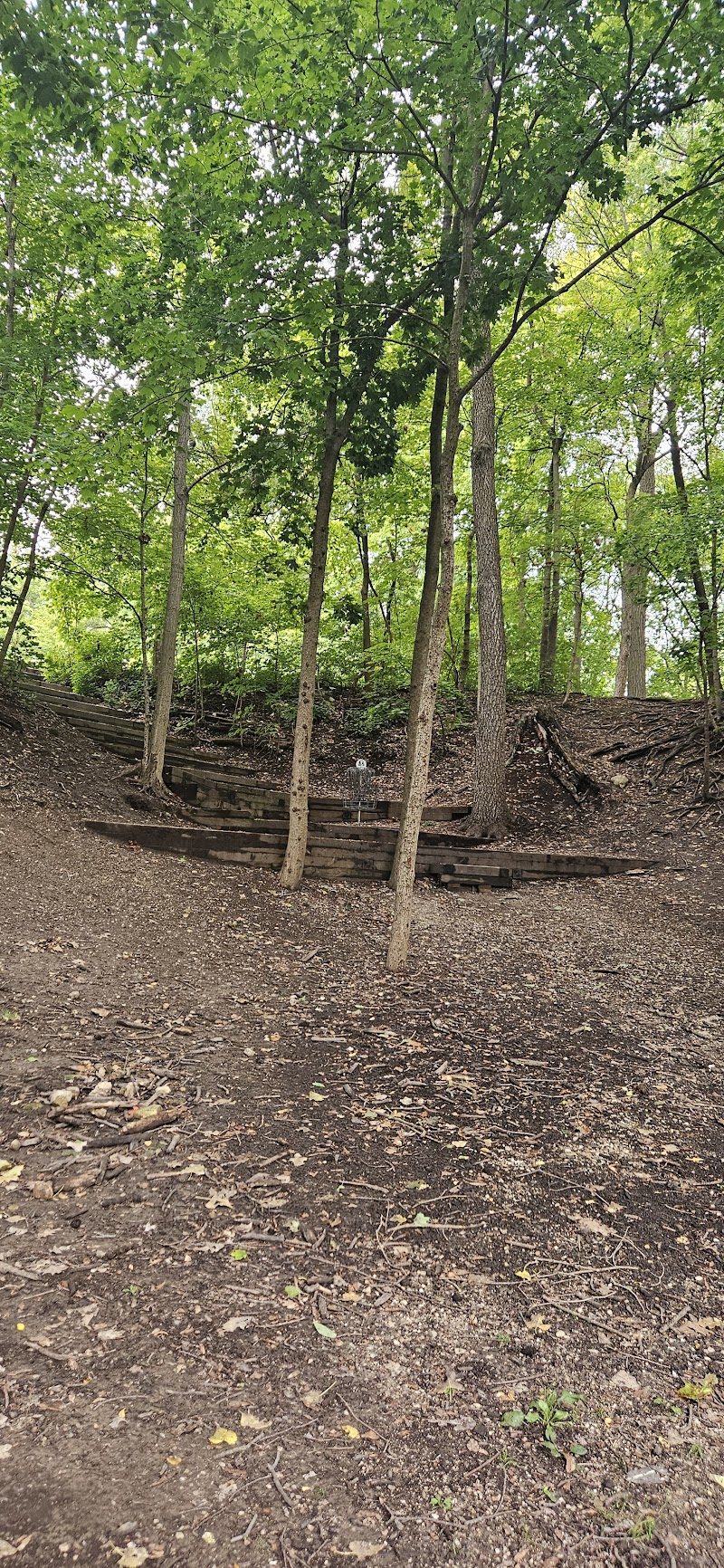 Dellwood Disc Golf The Canyons Hole 1 photo 1