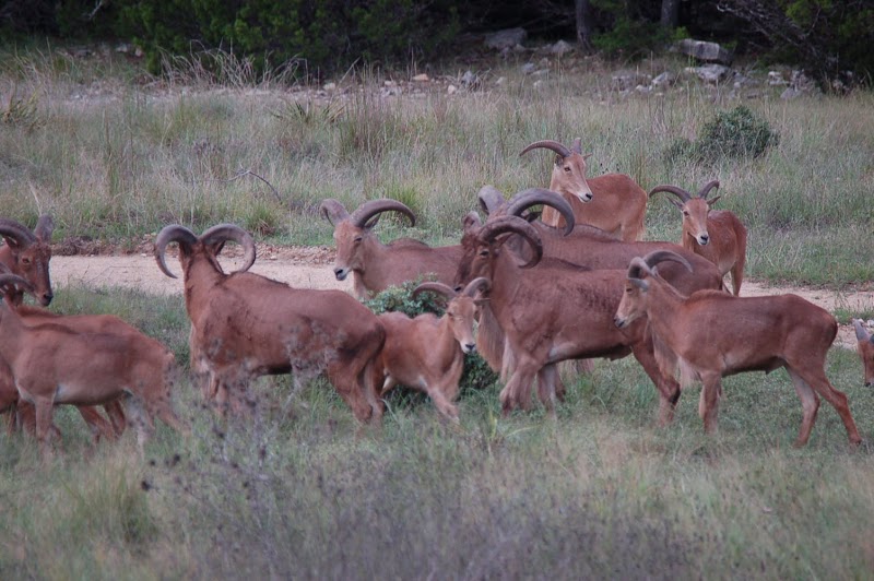 Shirley Ranch - Photo 2