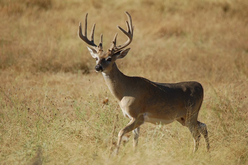 Shirley Ranch - Photo 1
