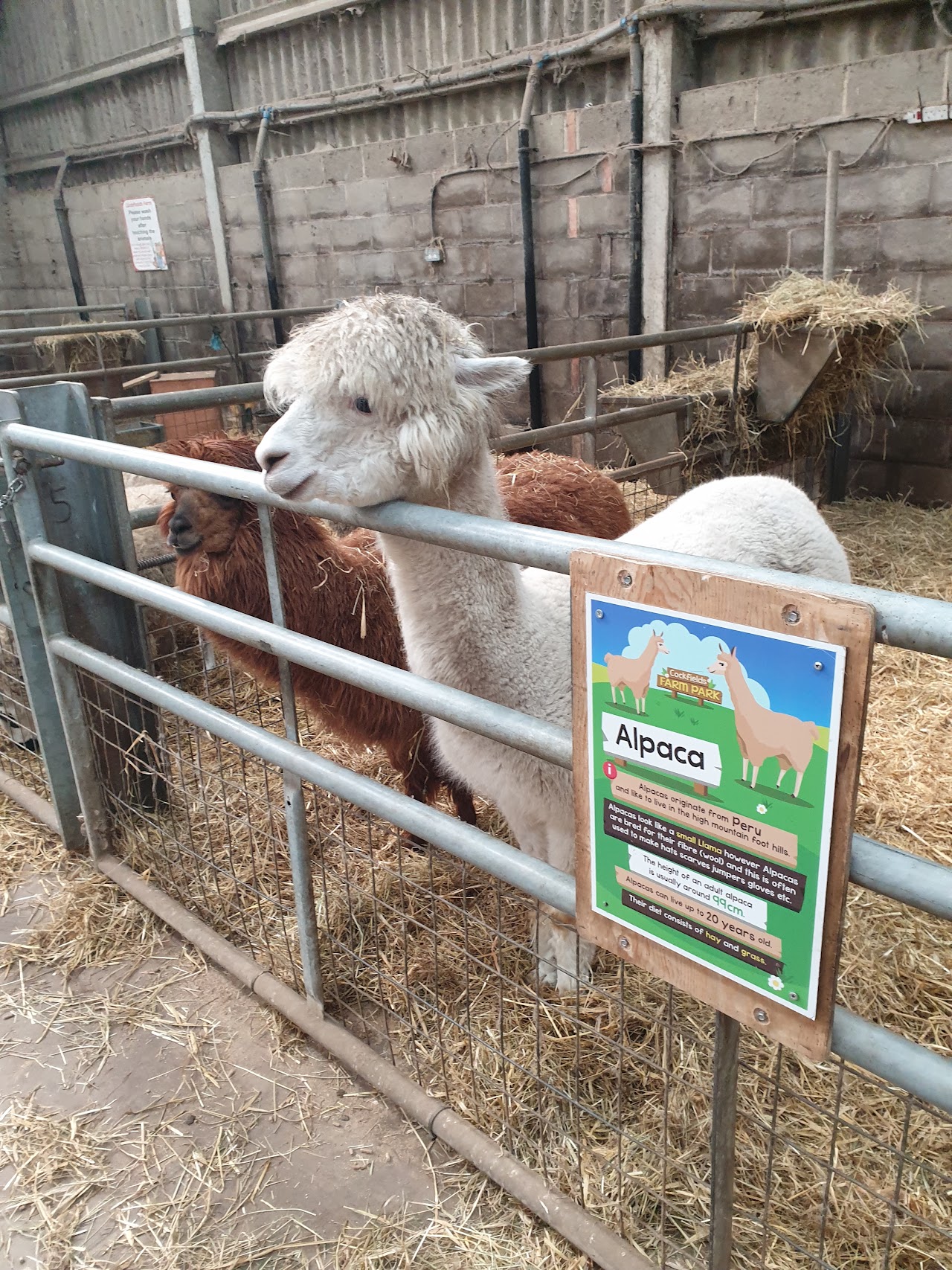 Cockfields Farm