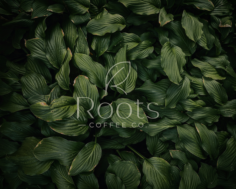 Roots Coffee Co. photo 3