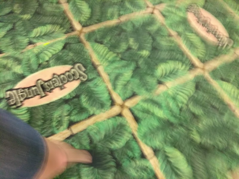 Scooter's Jungle of El Segundo photo 9