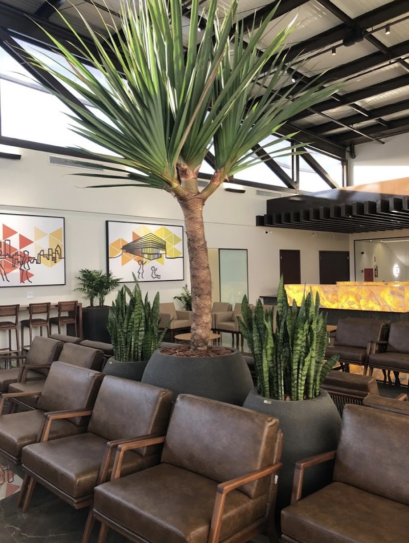 Pierini Odontologia Especializada - por Dra. Amanda Pierini Uzun - Ortodontia e Alinhadores Invisíveis | Invisalign Doctor - foto 3