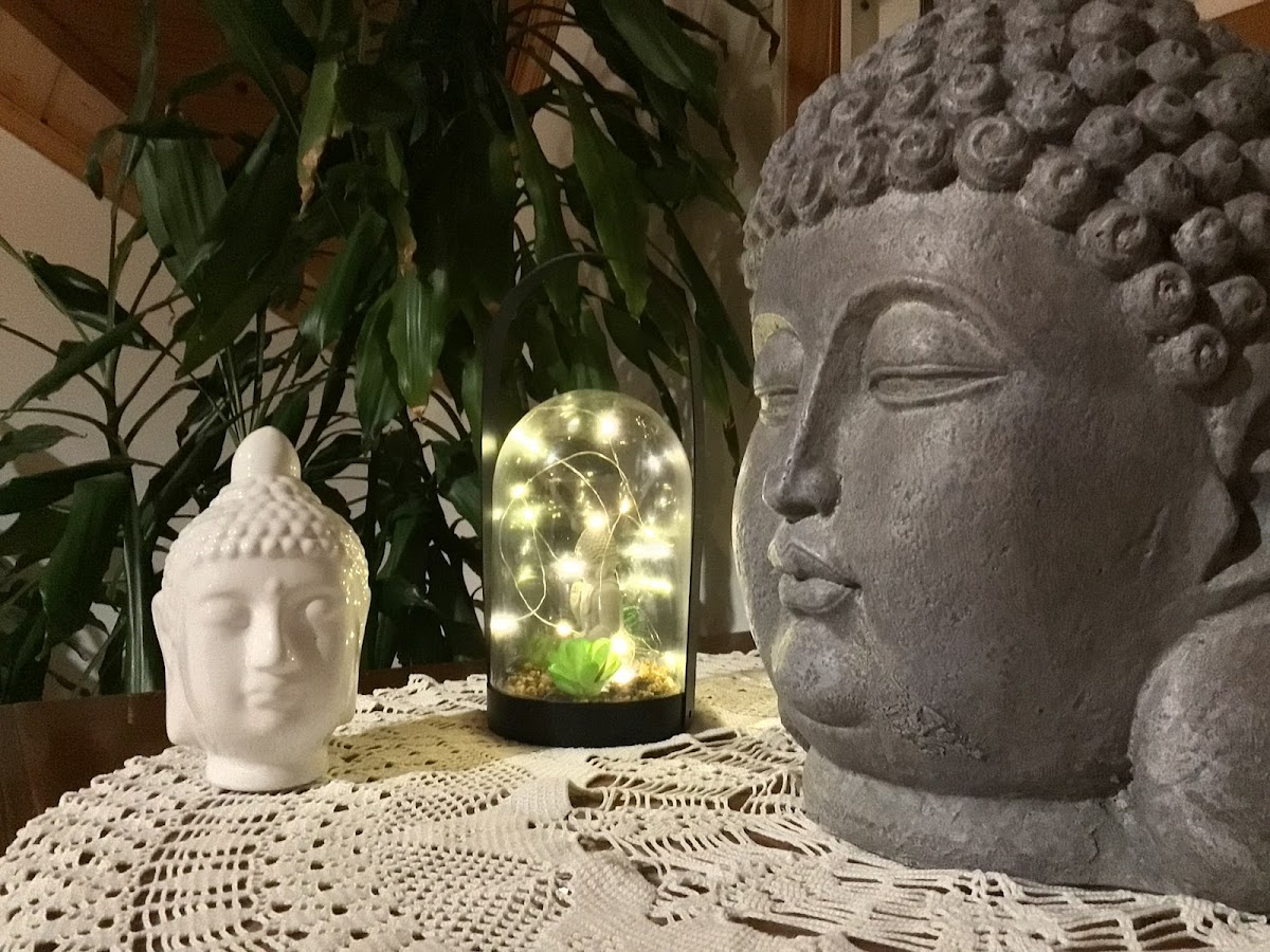 CENTRO CHI Y ZEN- uxia veiga — 3