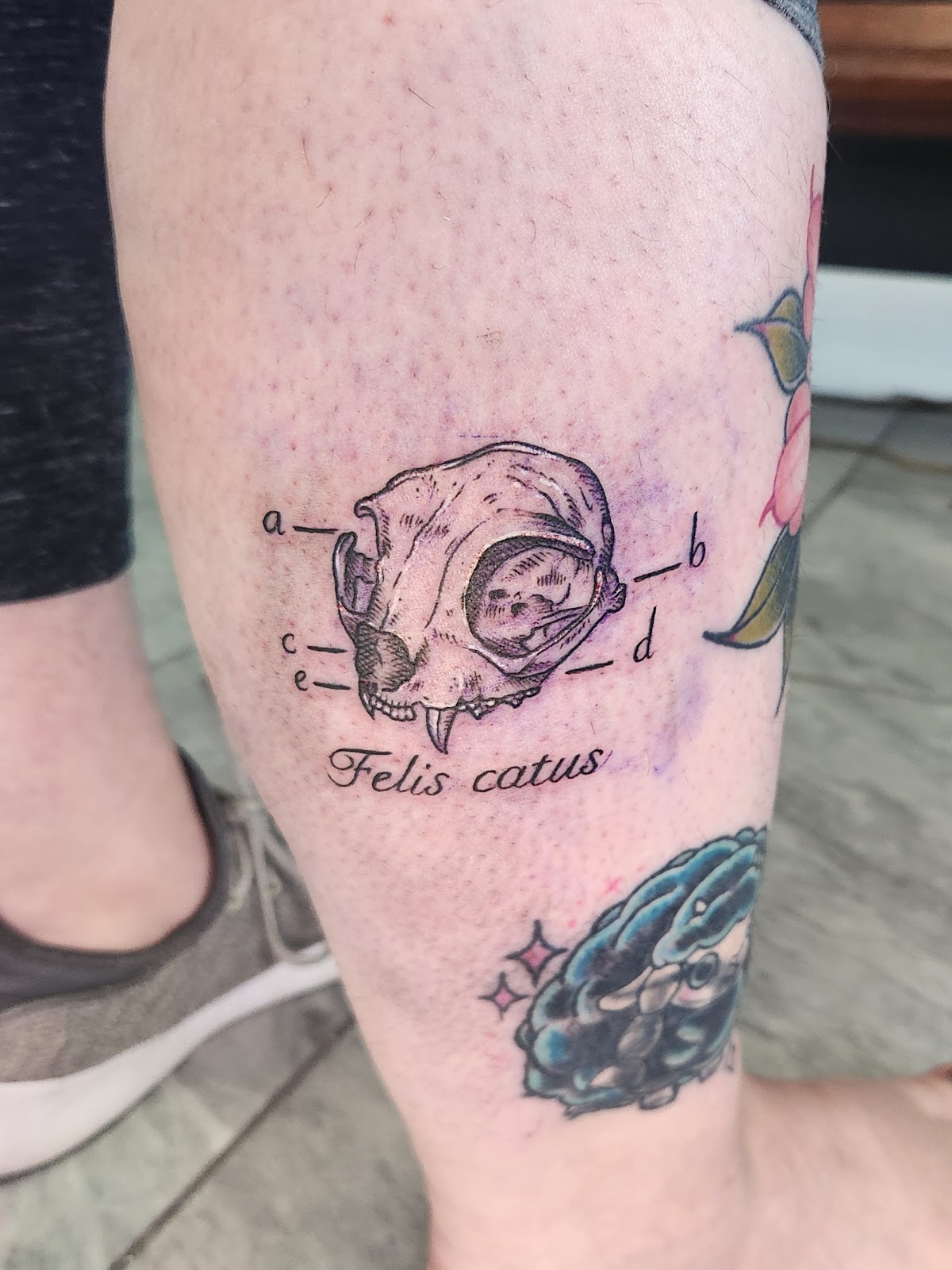 Kitty Kattoos Studio (Appointment Only) tattoo parlor in Lee's Summit, MO
