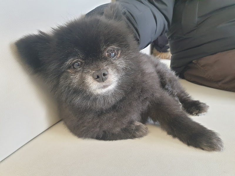 멍지트 사진 6