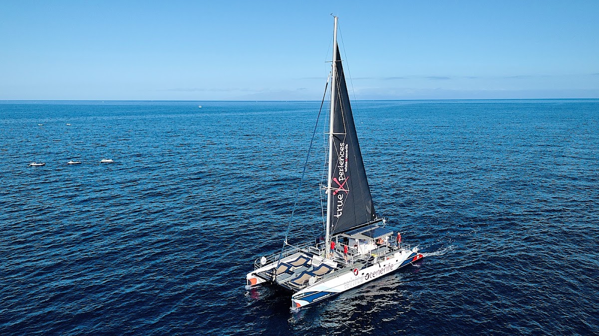 Catamaran Cruise in Costa Adeje