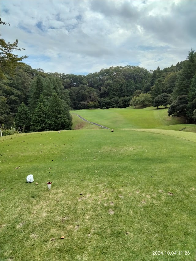 Spa Resort Hawaiians Golf Course - Photo 1