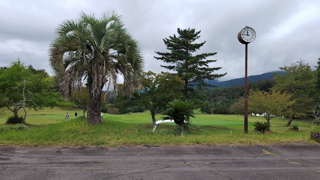 Spa Resort Hawaiians Golf Course - Photo 4