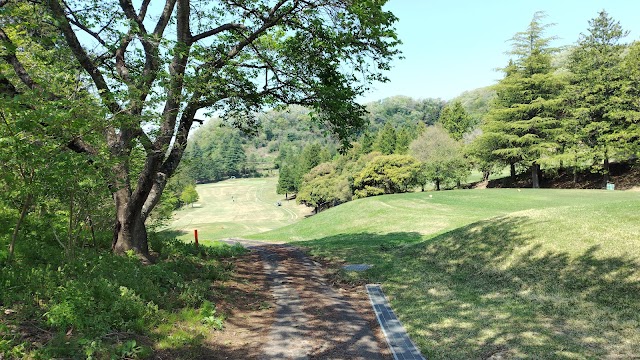 Spa Resort Hawaiians Golf Course - Photo 2
