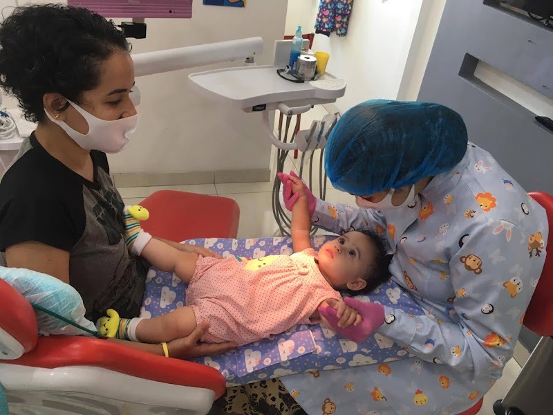 Beatriz Miguel - Odontopediatria e Ortodontia