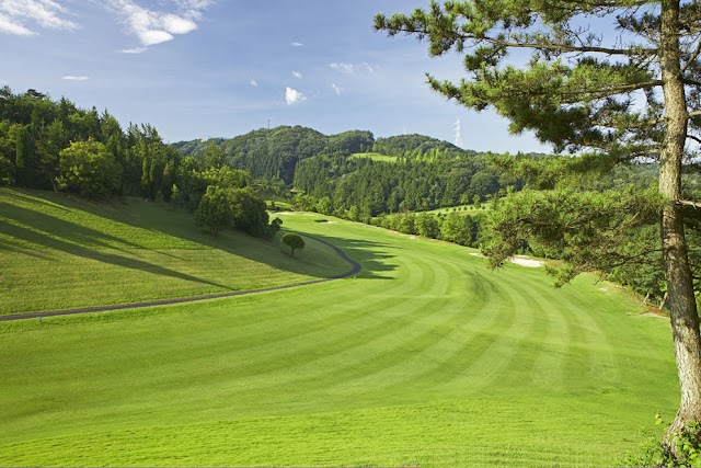 Forest Mizunami Country Club - Photo 1