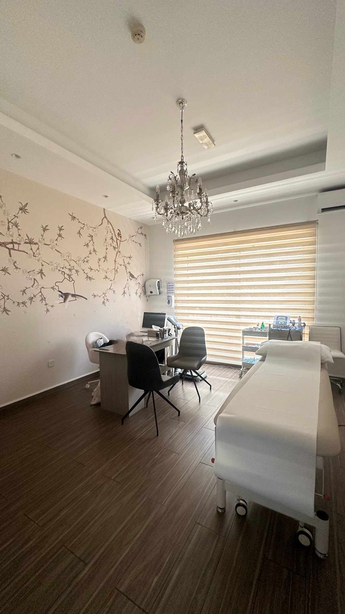Dr. Kayle Aesthetic Clinic 2