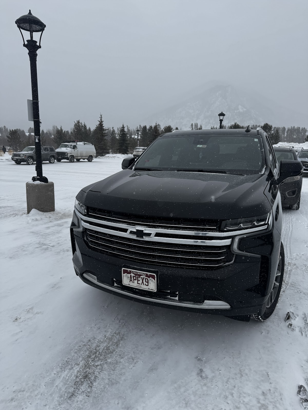 Denver Apex Limousine: Google Places image 5