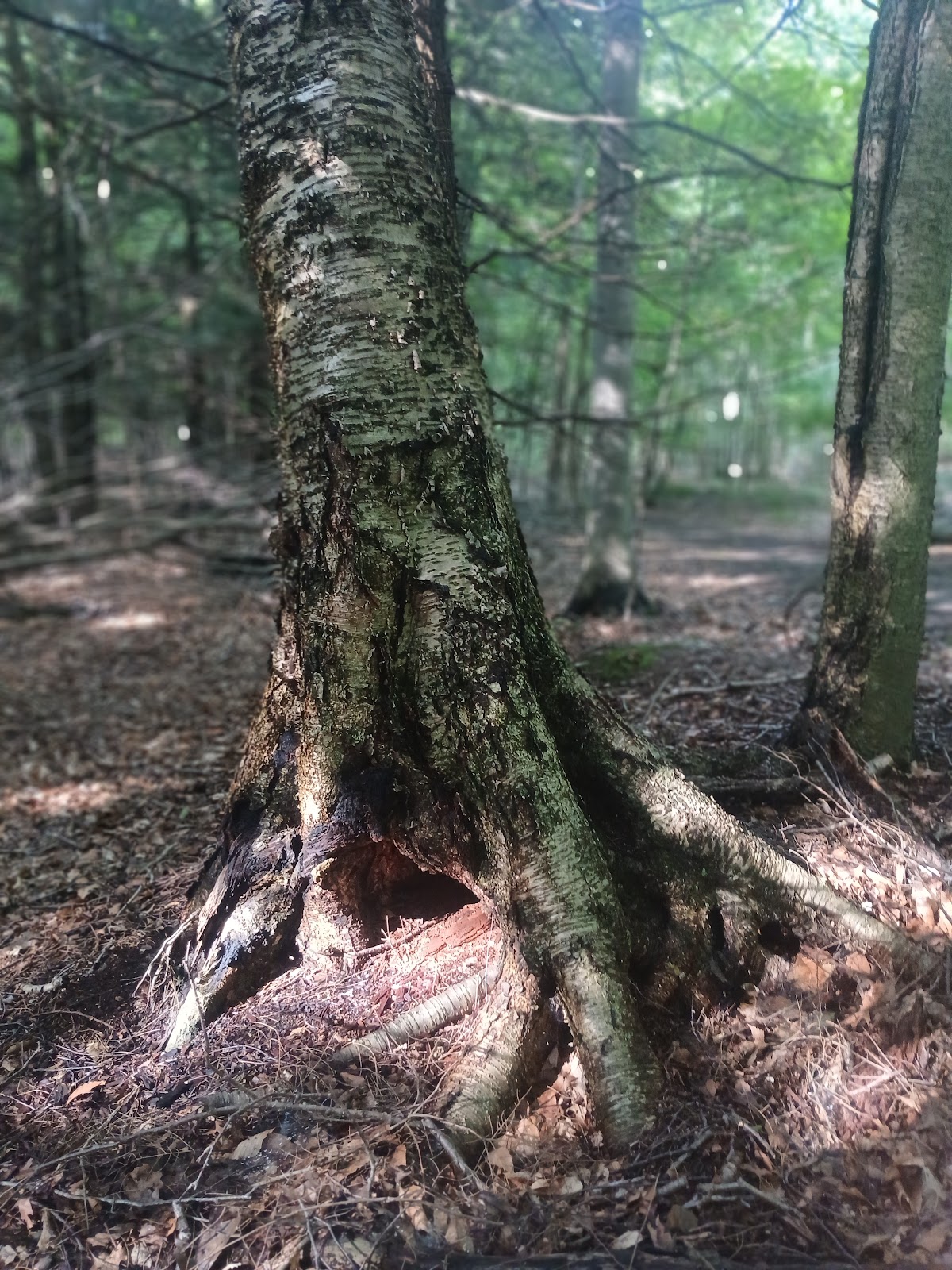 Otto Nature Preserve 3