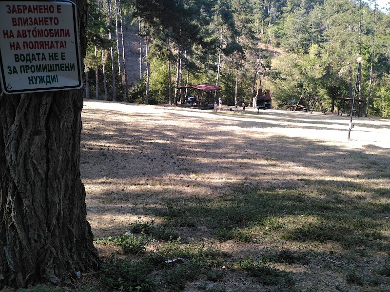 Първомайска поляна: что важно знать перед визитом