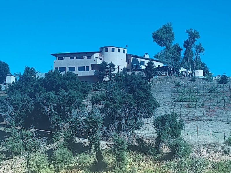 Malibu Solstice Vineyard