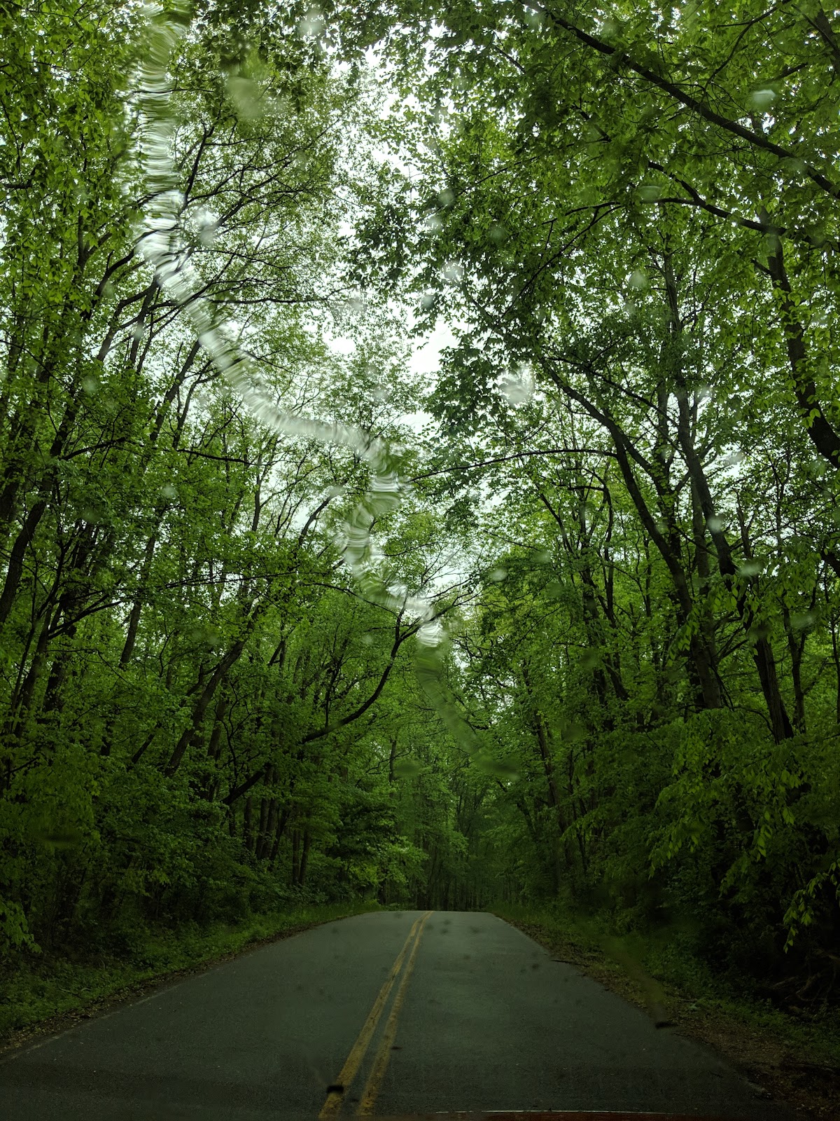 Earleville Wildlife Management Area