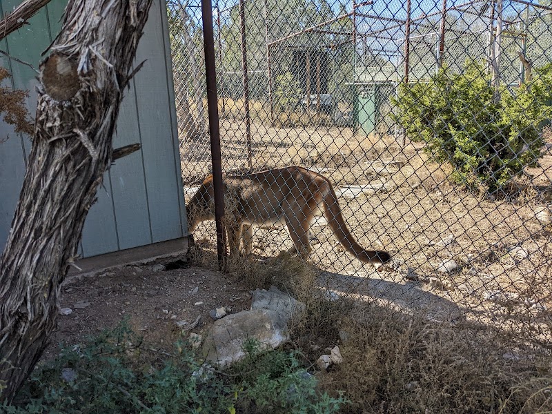Wildlife West Nature Park - Photo 2