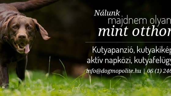 Dogmopolite Kutyakozmetika Pest