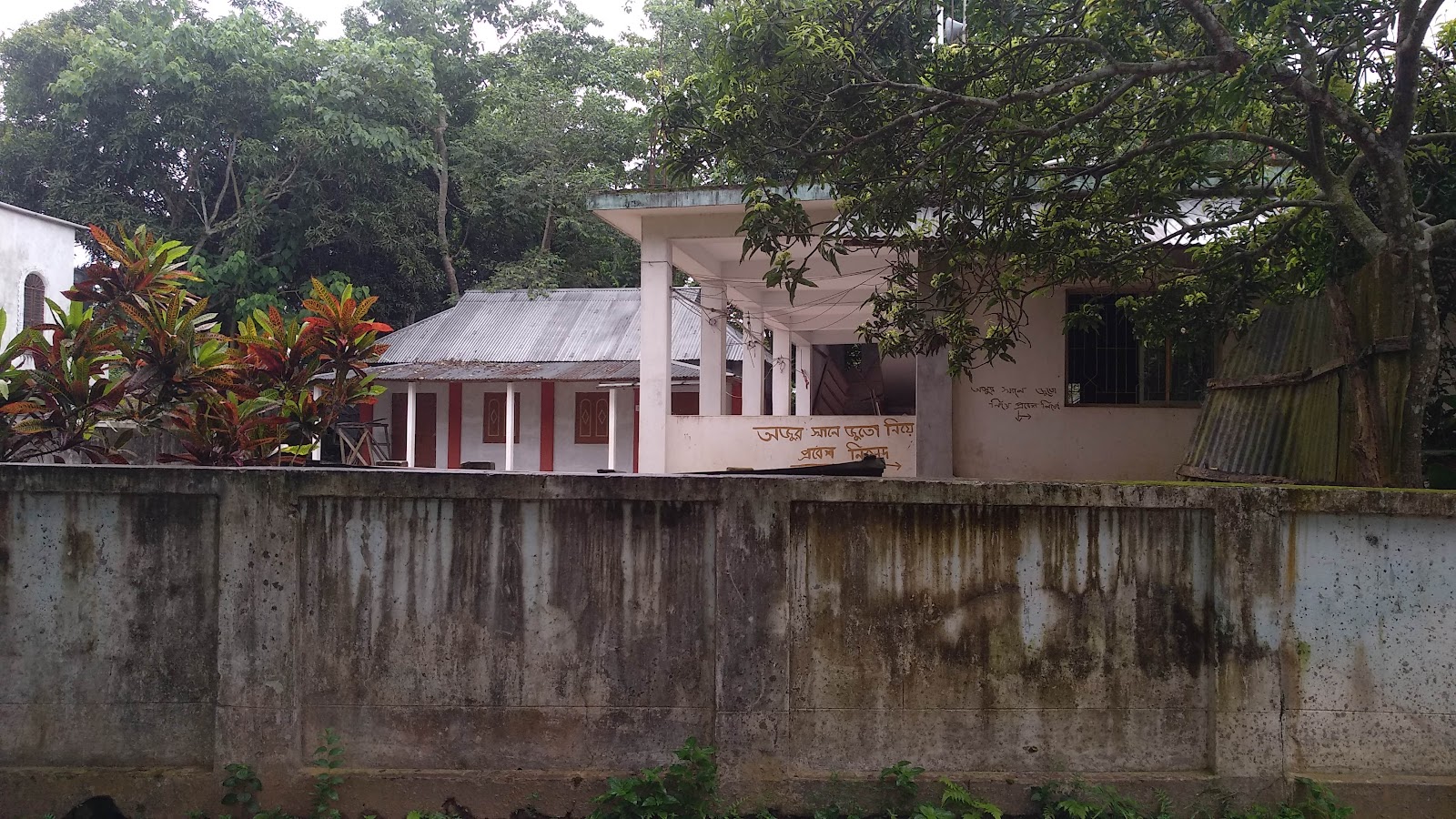 Charipara Jamia Masjid Google photo 4
