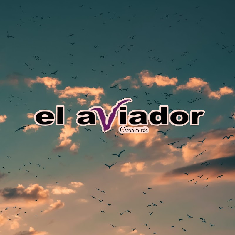 Bar El Aviador photo 3