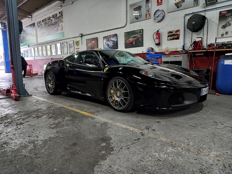 Taller Paludi photo 1