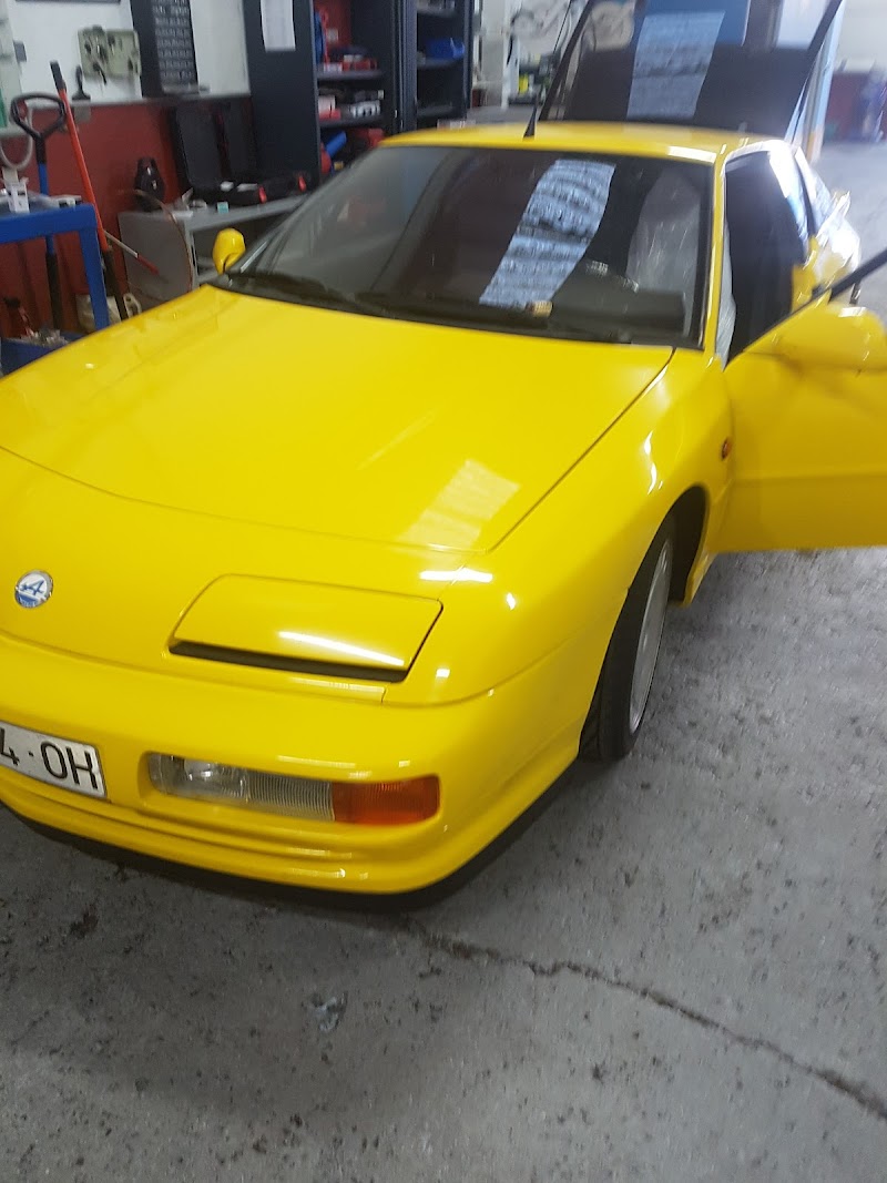 Taller Paludi photo 3