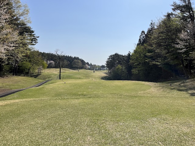 Shirakawa Golf Club - Photo 4