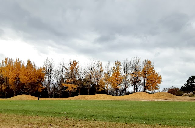 Checkmate Country Club - Photo 7