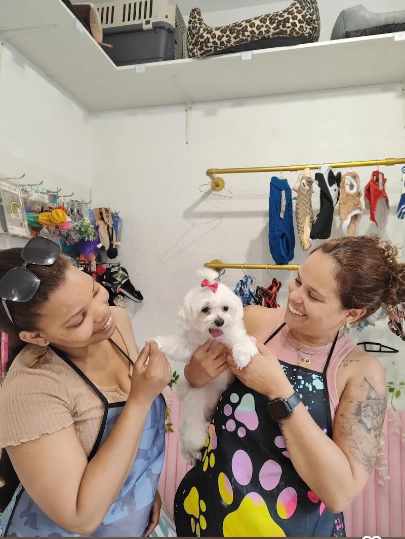 Spa De Mascotas Sagrada Familia