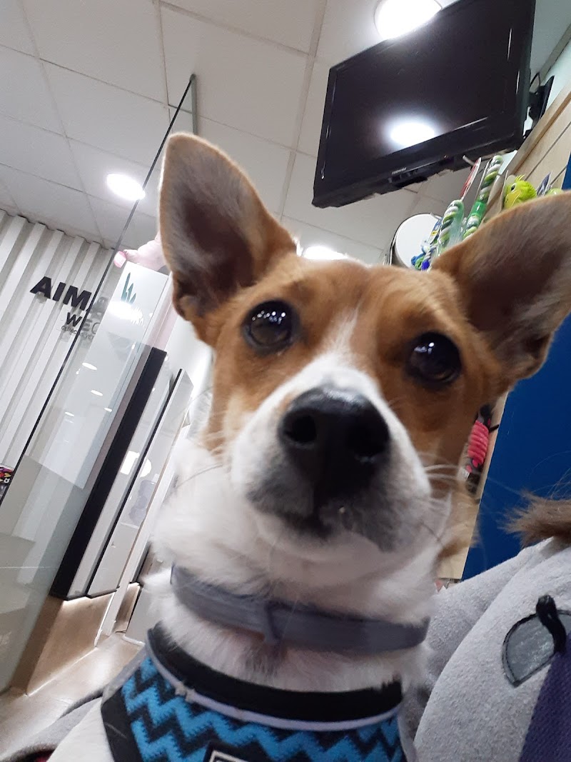Clínica Veterinaria WECAN Aimar