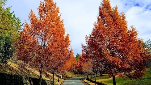 Napal Golf Club Ipponmatsu Course - Photo 6