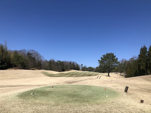 Kings Road Golf Club - Photo 3