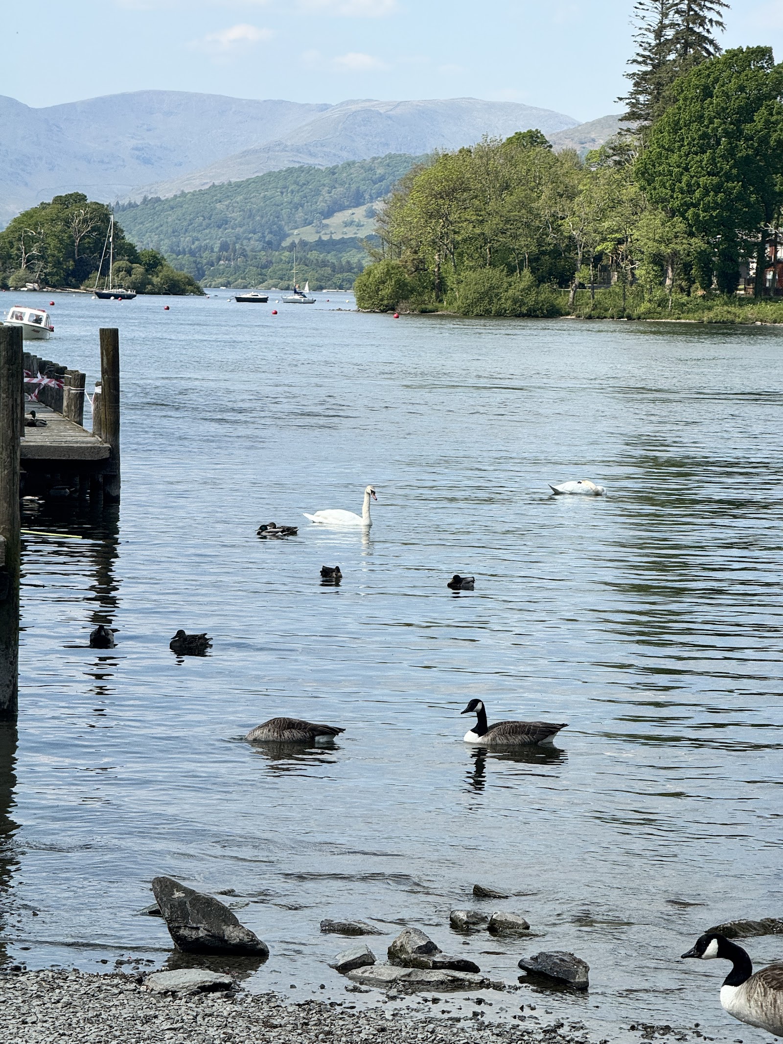 Best Family Days Out in the Lake District with Kids