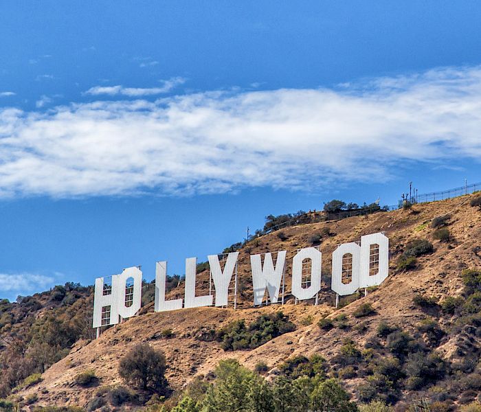 All-in-One SaaS Marketing Software for Local Businesses in Los Angeles, CA